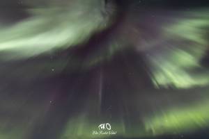 Elie RODET VIDAL - RODET VIDAL ELIE